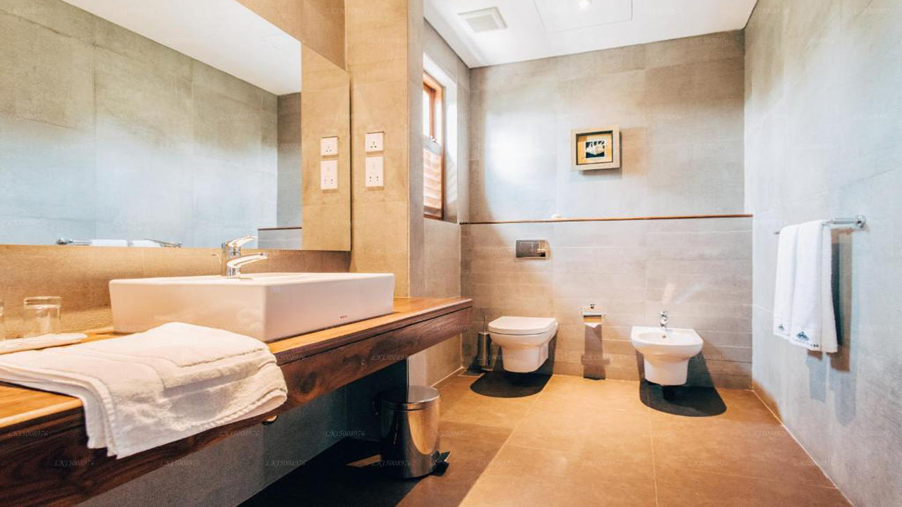 Dom Palmyrah, Mannar