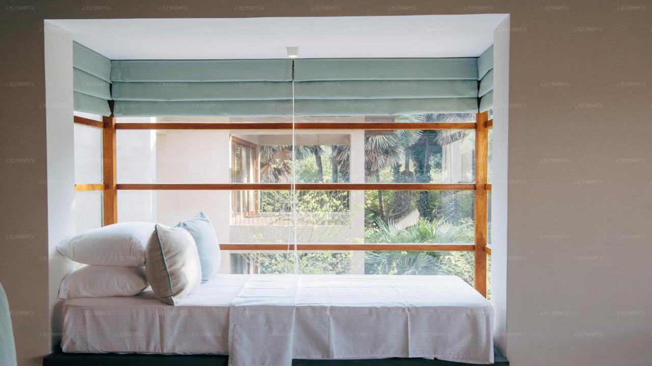 Dom Palmyrah, Mannar