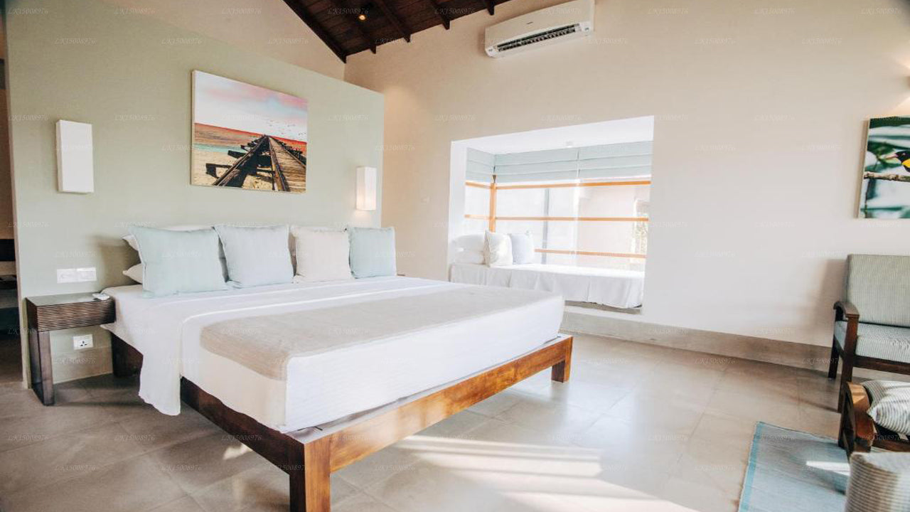 Dom Palmyrah, Mannar