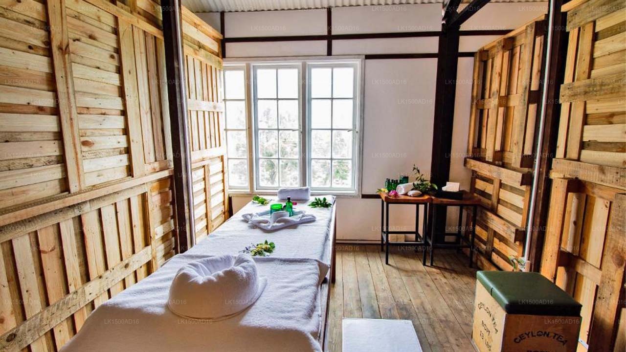 Tea & Experience Factory, Mandaram Nuwara