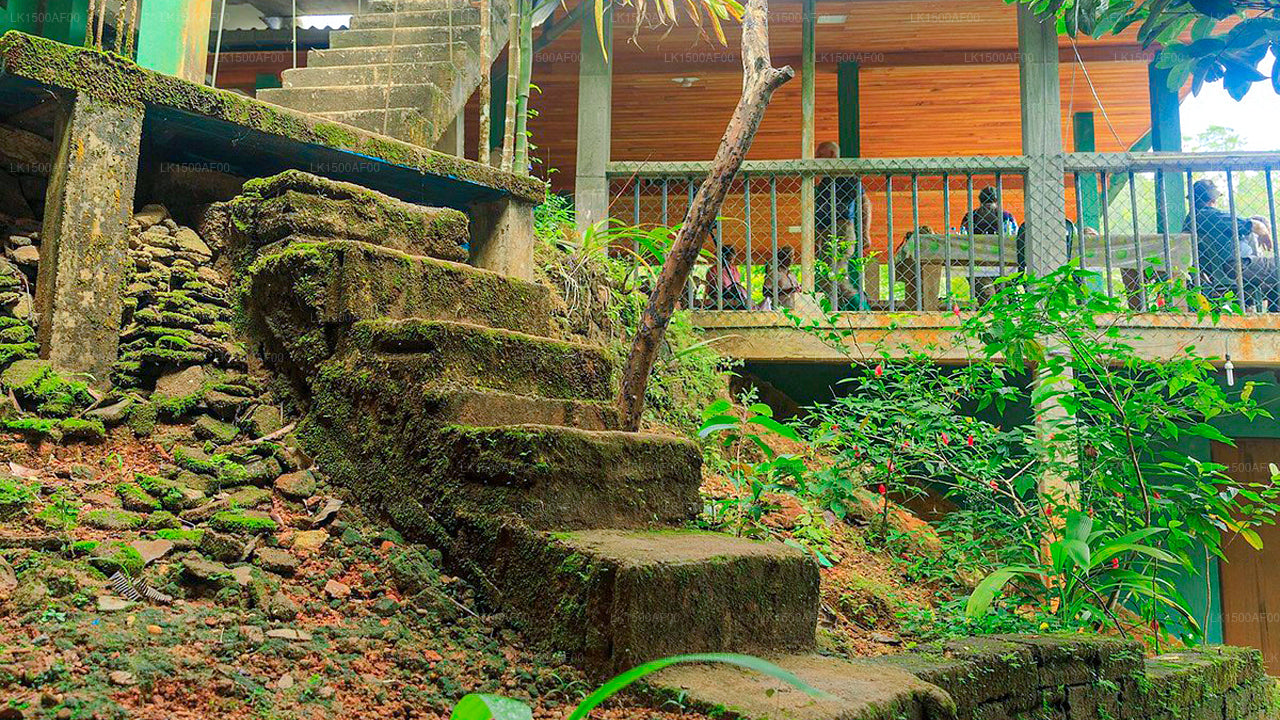 Martin's Lodge, Sinharaja