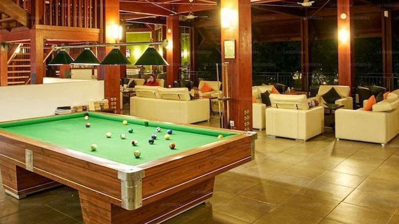 Occidental Paradise, Dambulla