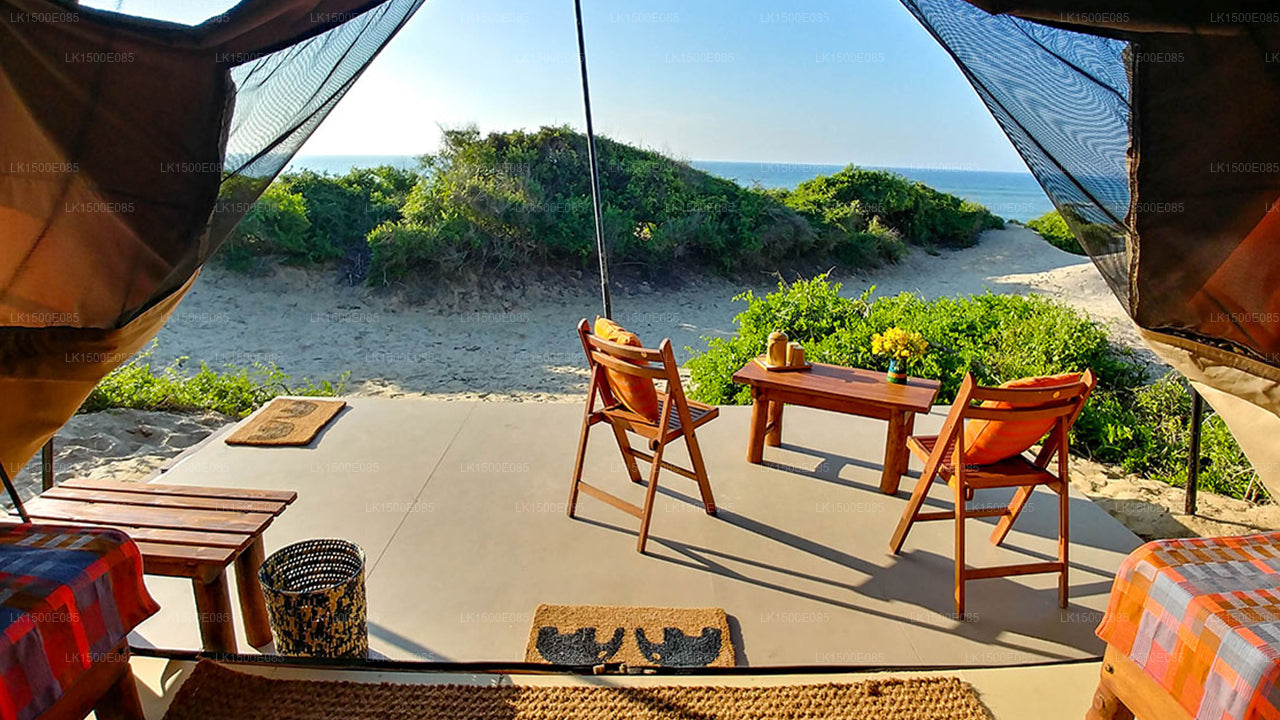 Tył Beyond - Safari Lodge, Yala