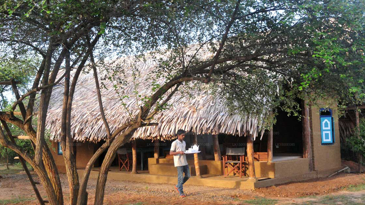 Tył Beyond - Safari Lodge, Yala