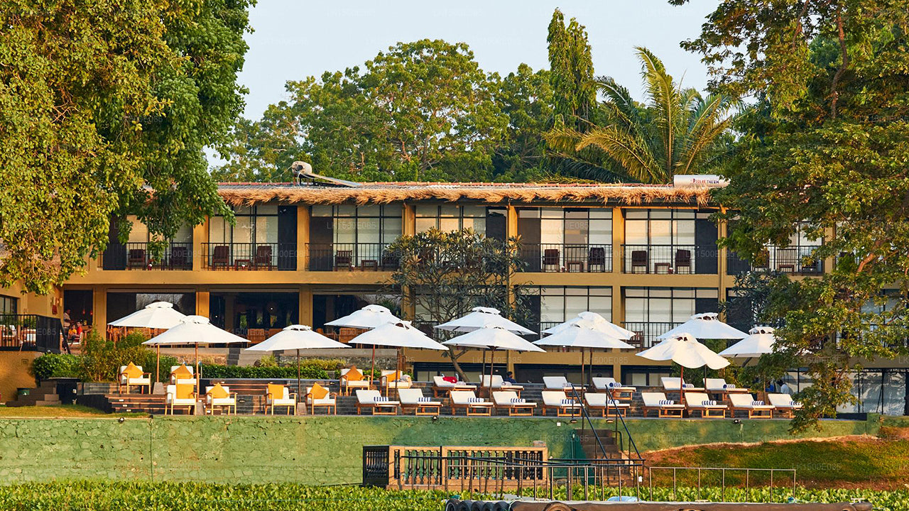 Tył Beyond - Safari Lodge, Yala