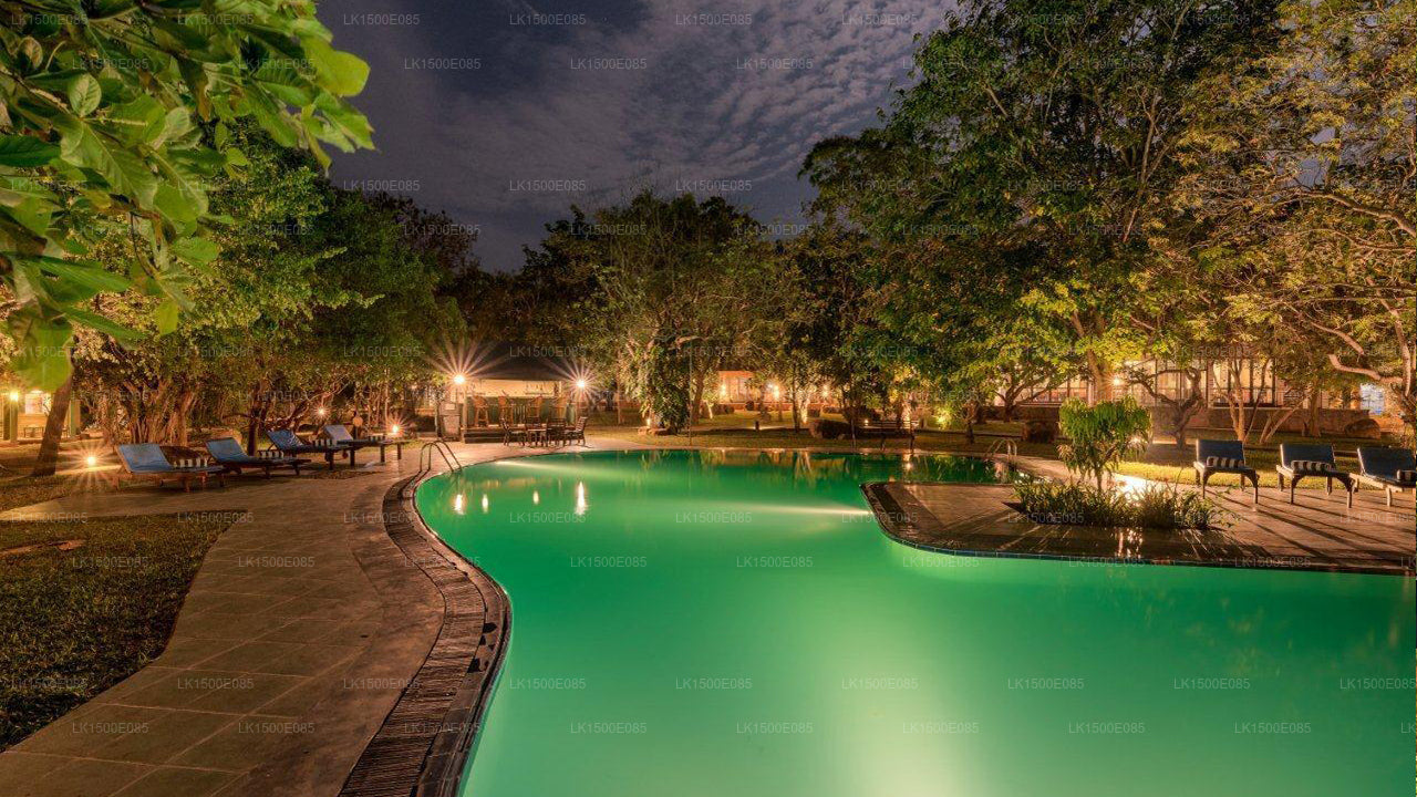 Tył Beyond - Safari Lodge, Yala