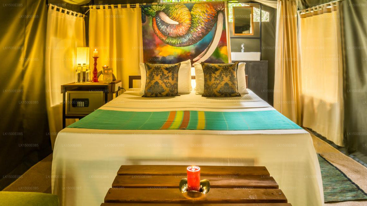 Tył Beyond - Safari Lodge, Yala