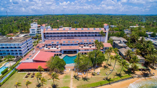 Cytrusy Hikkaduwa, Hikkaduwa