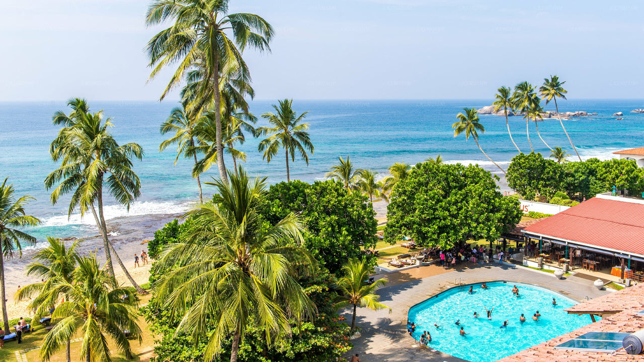 Cytrusy Hikkaduwa, Hikkaduwa