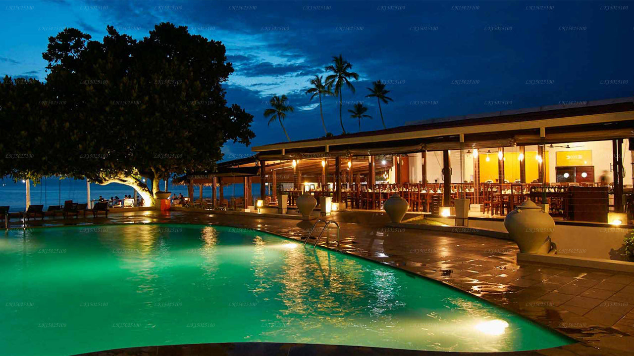 Cytrusy Hikkaduwa, Hikkaduwa