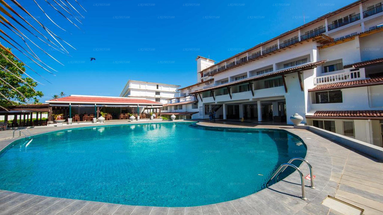 Cytrusy Hikkaduwa, Hikkaduwa