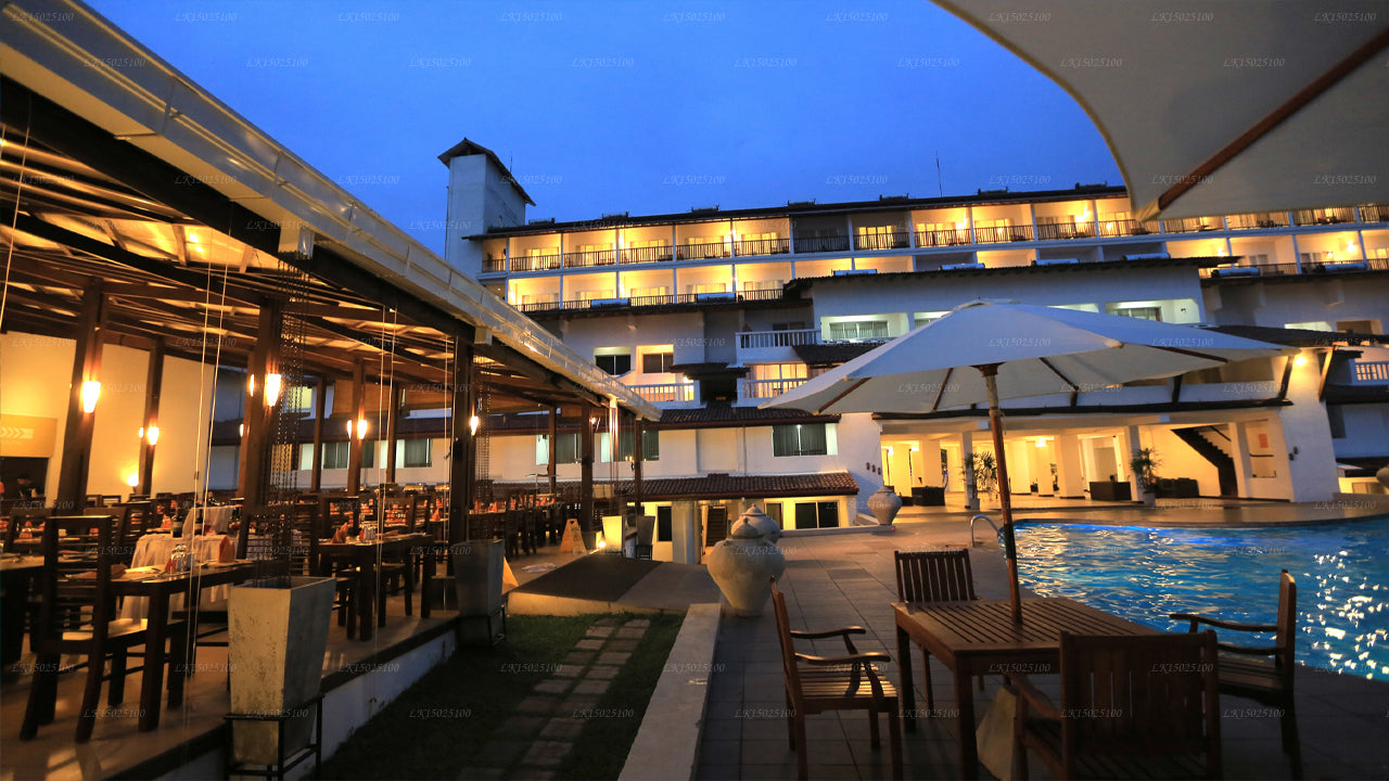 Cytrusy Hikkaduwa, Hikkaduwa