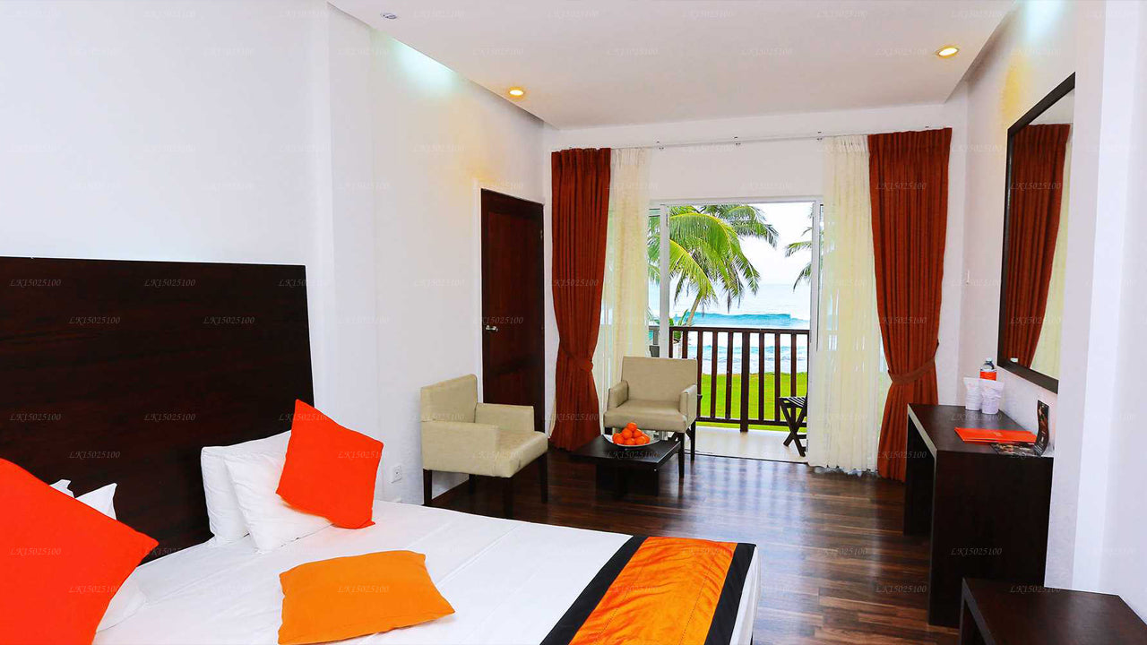 Cytrusy Hikkaduwa, Hikkaduwa