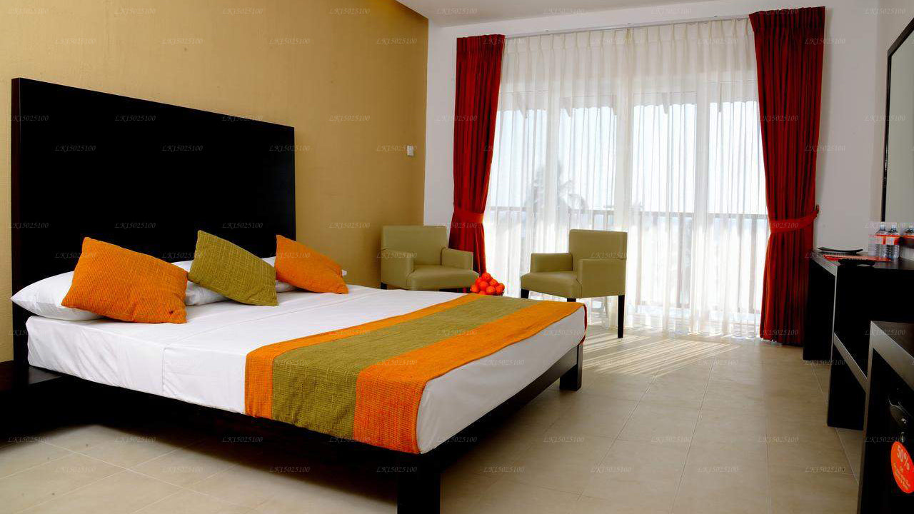 Cytrusy Hikkaduwa, Hikkaduwa