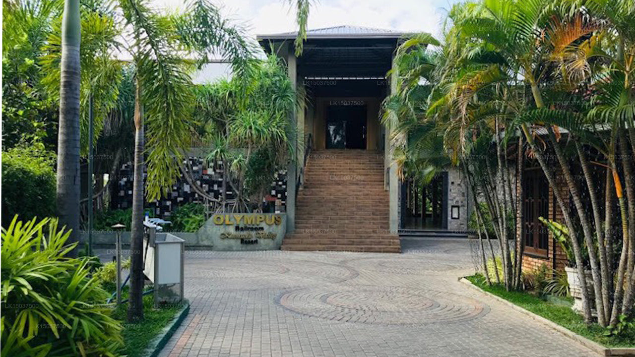 National Holiday Resort - Nuwara Eliya