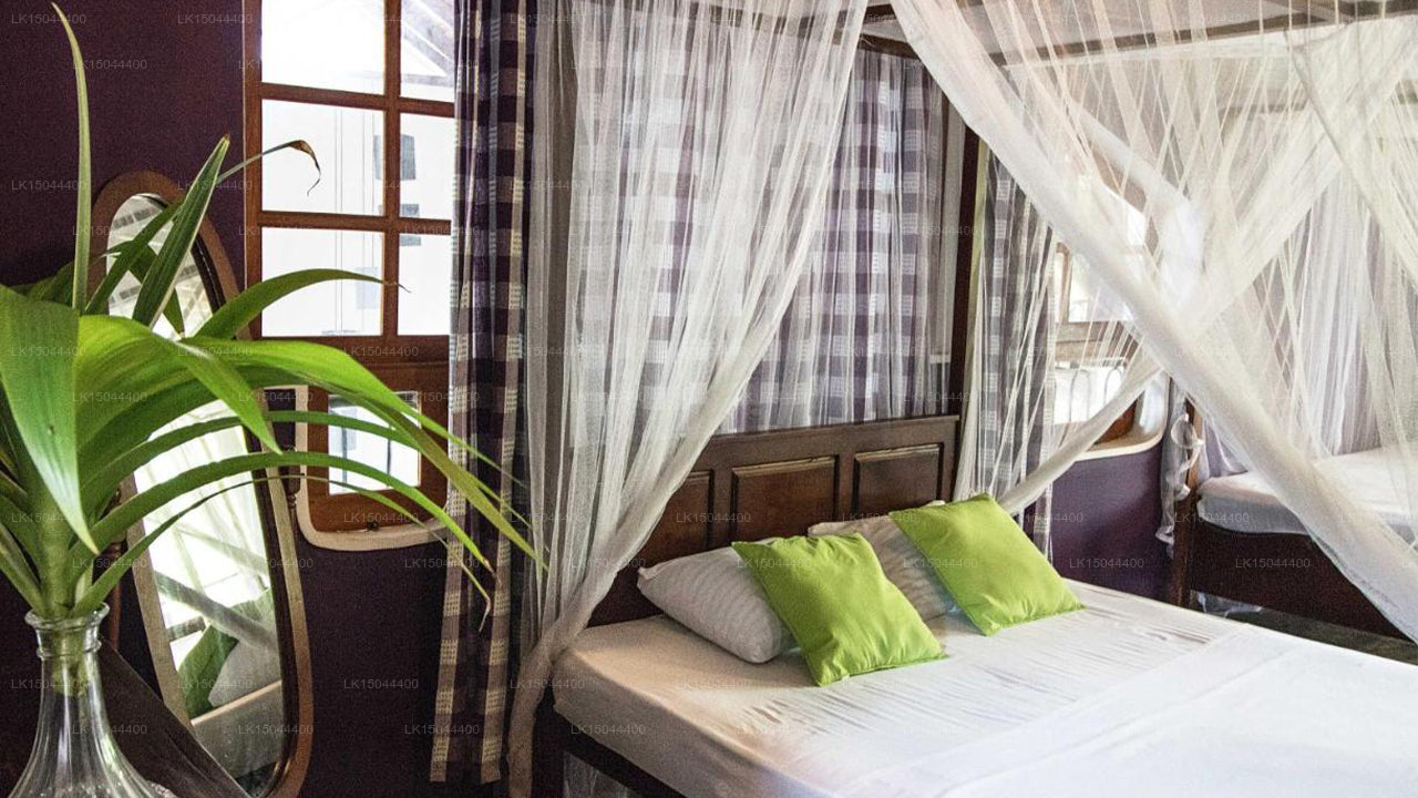 Little Taprobane, Waikkal