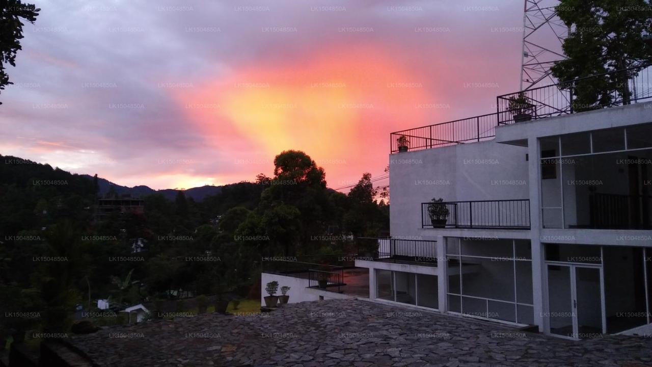 Hotel Alta Vista, Ella