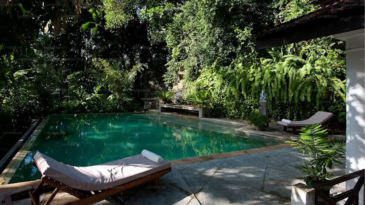 Pooja Kanda, Koggala