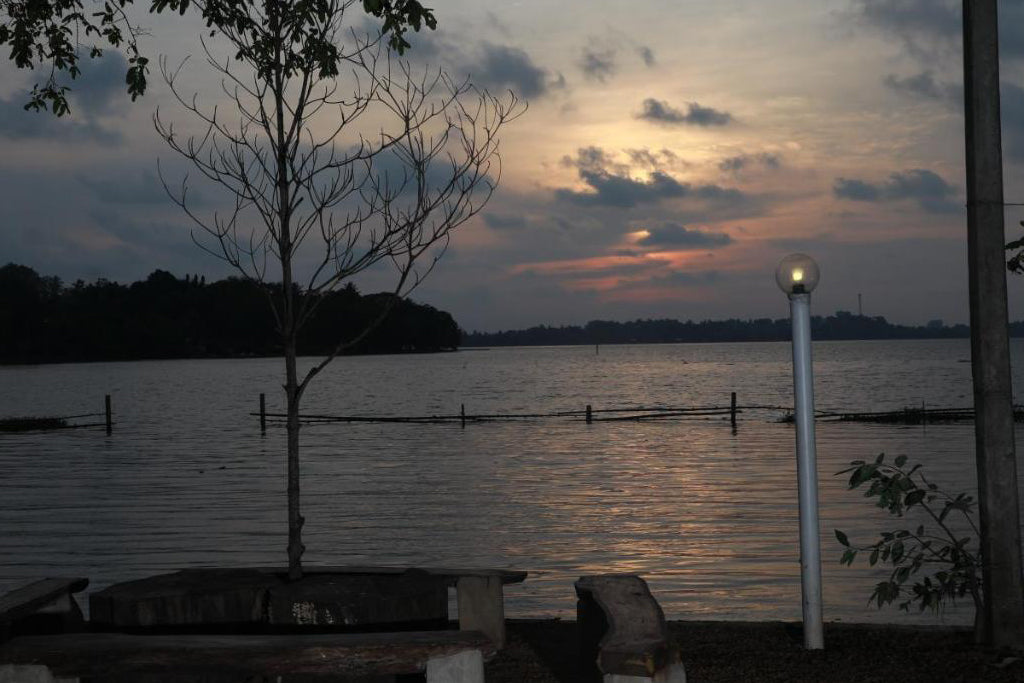 Dampe Village, Piliandala