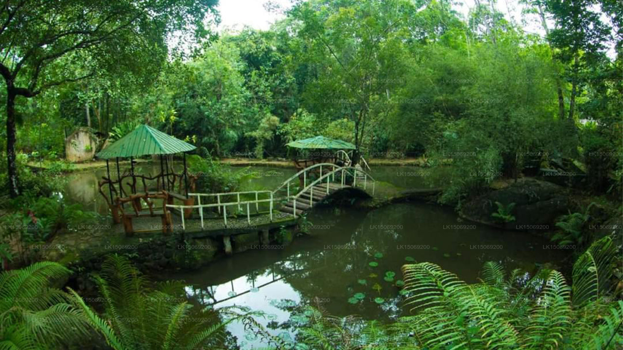 Wijaya Holiday Resort, Kiriella