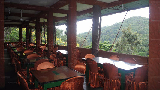 Jungle Rest, Belihuloya