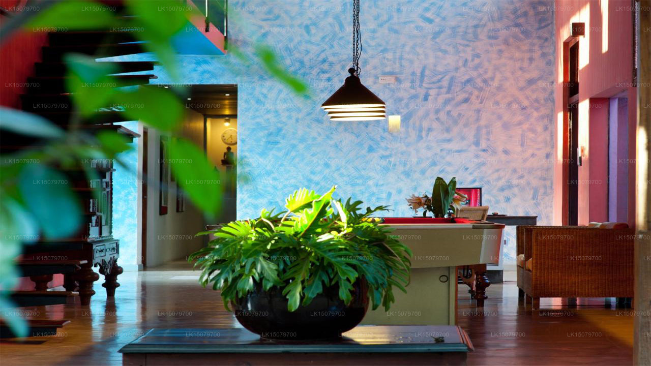 Dickman Resort, Negombo