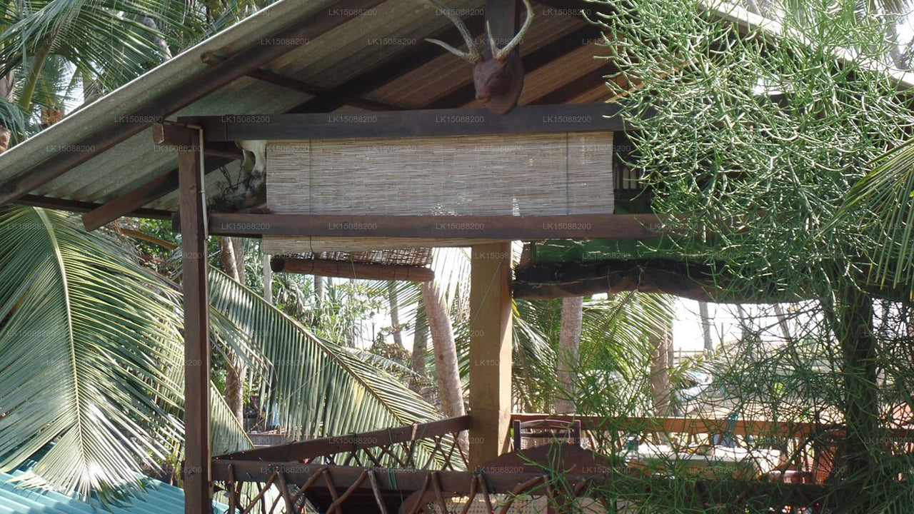 Wadduwa Beach House, Wadduwa