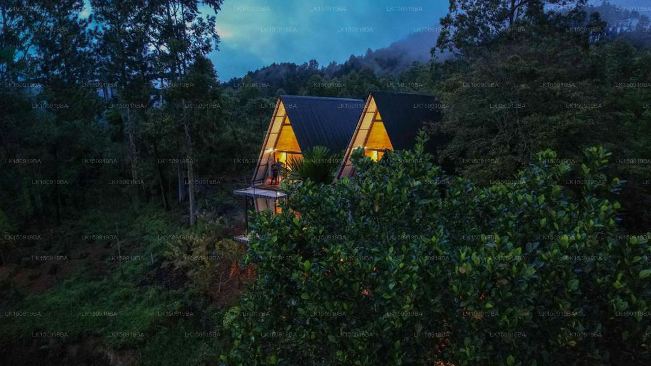 Wild Bee Hostel, Ella