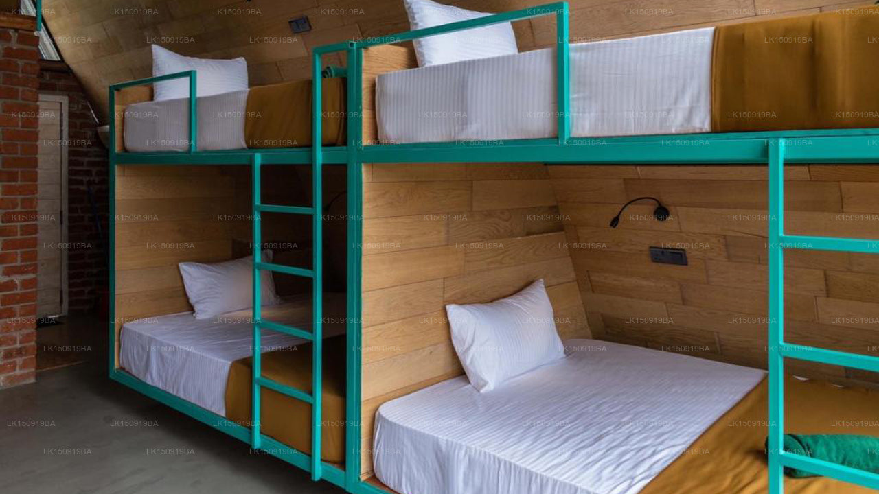 Wild Bee Hostel, Ella