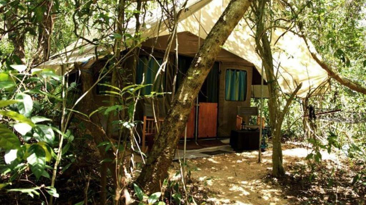 Explorer by Eco Team, Dambana