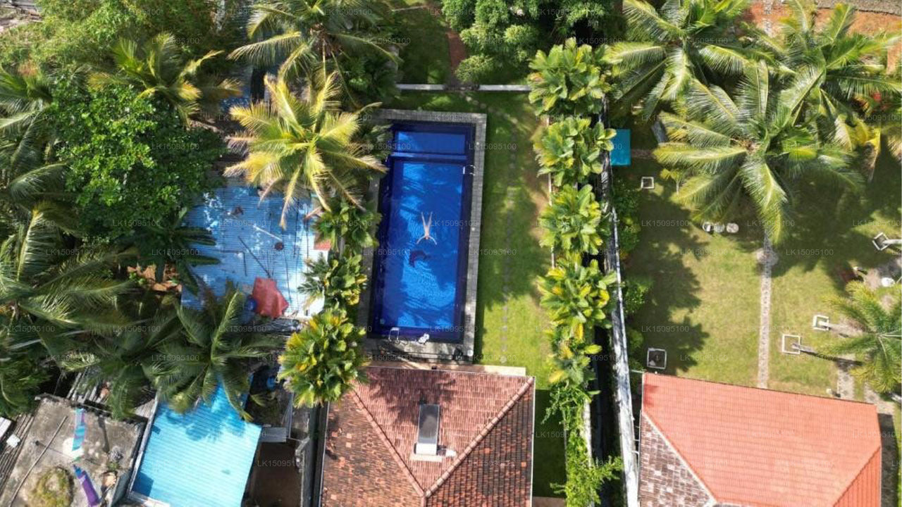 Aerial view of a pool surrounded by lush greenery and houses.