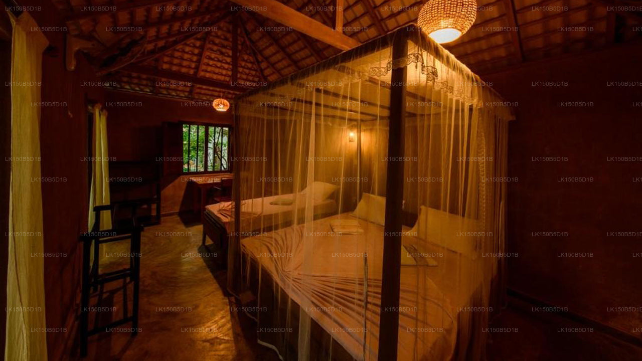 Villa Lotus At, Hikkaduwa