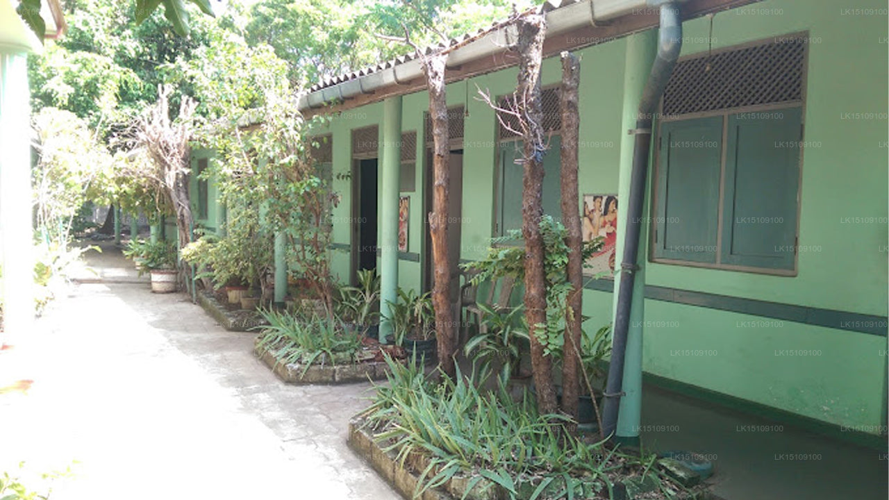 Dhammika Holiday Resort, Puttalam