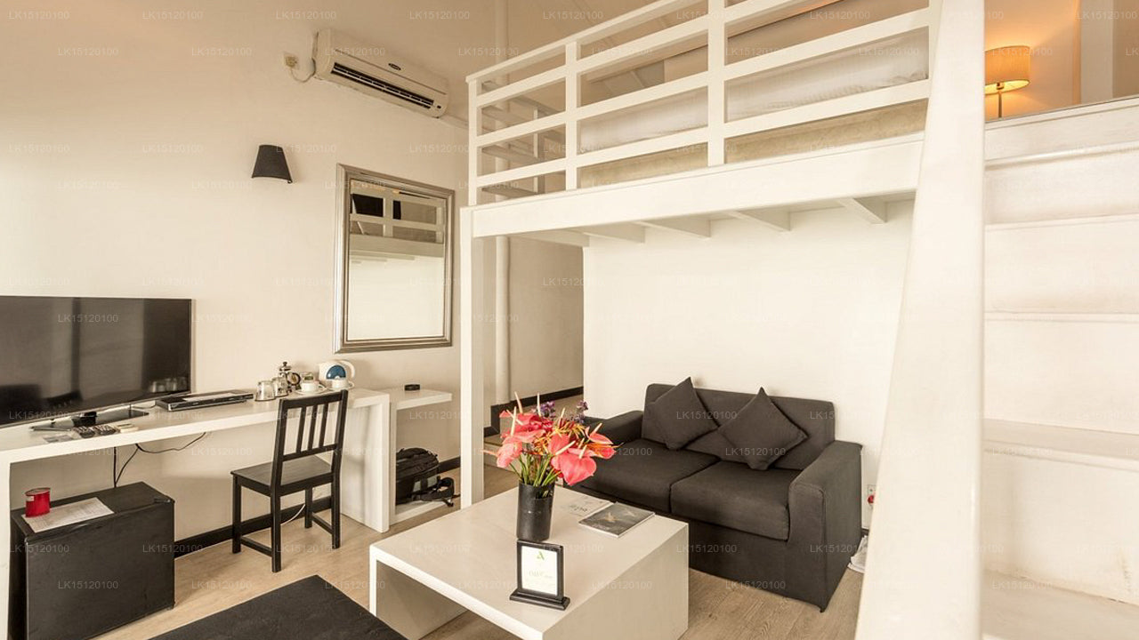 Cantaloupe Aqua, Thalpe