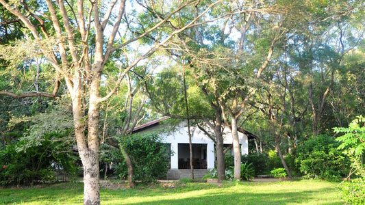 Back of Beyond - Belihul Oya