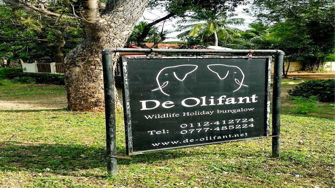 De Olifant Holiday Bungalow,  Udawalawe