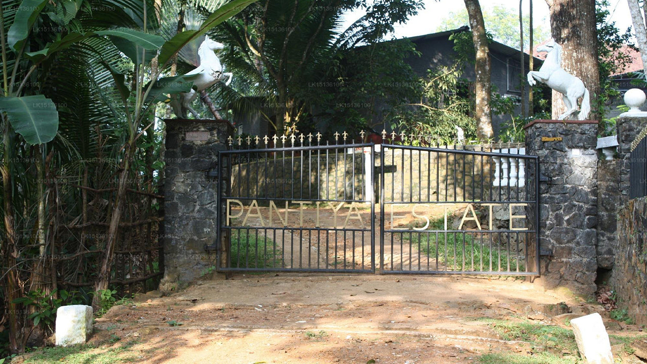 Pantiya Estate Holiday Bungalow, Mathugama