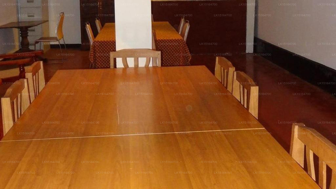 Mansion Safari, Minneriya