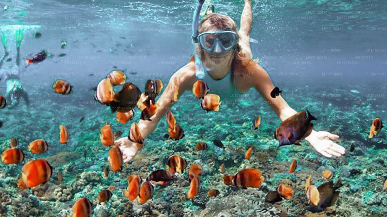 Citrus Kalpitiya, Kalpitiya