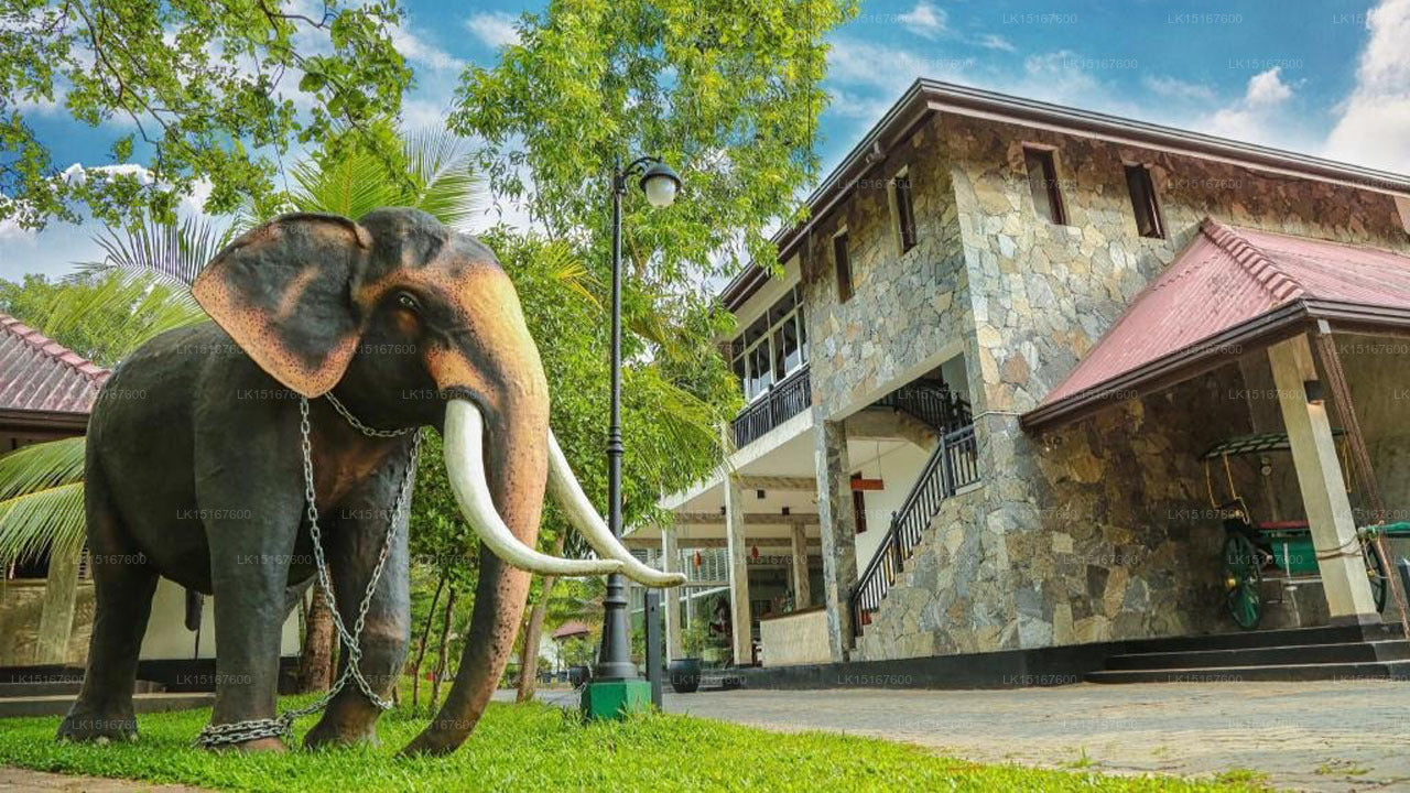 Oakray Elephant Lake