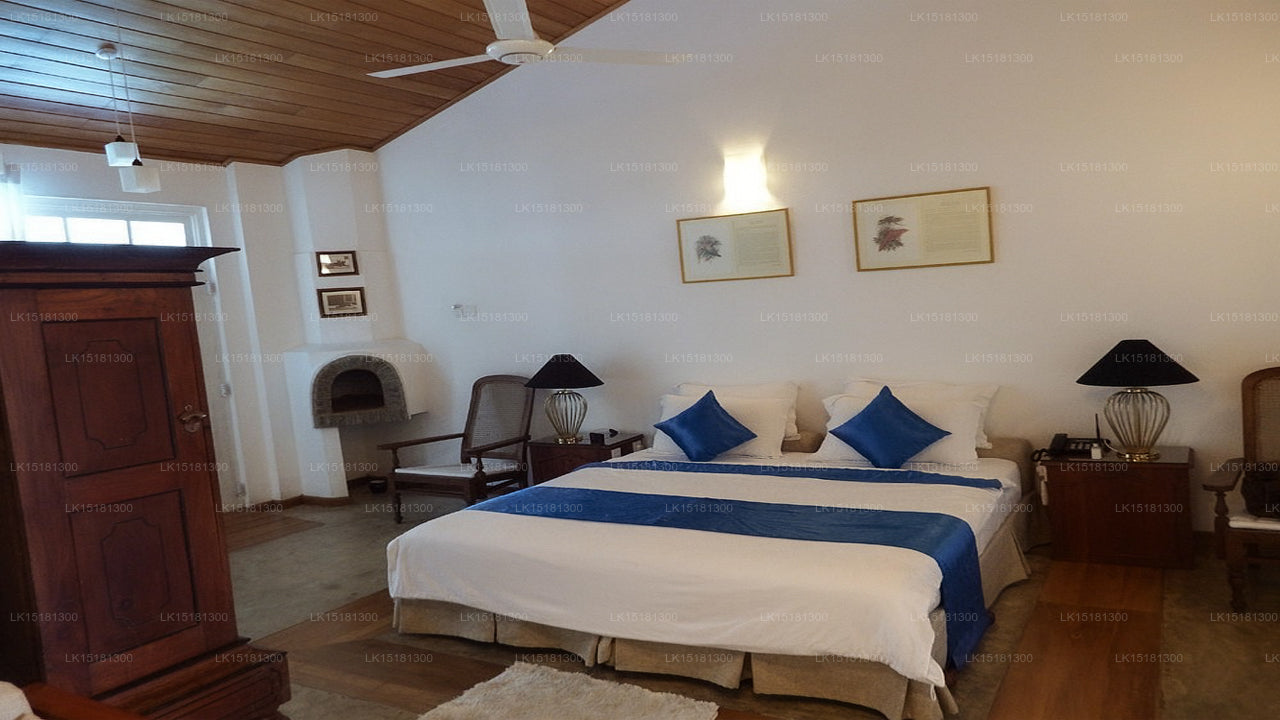 Forest Edge, Kitulgala