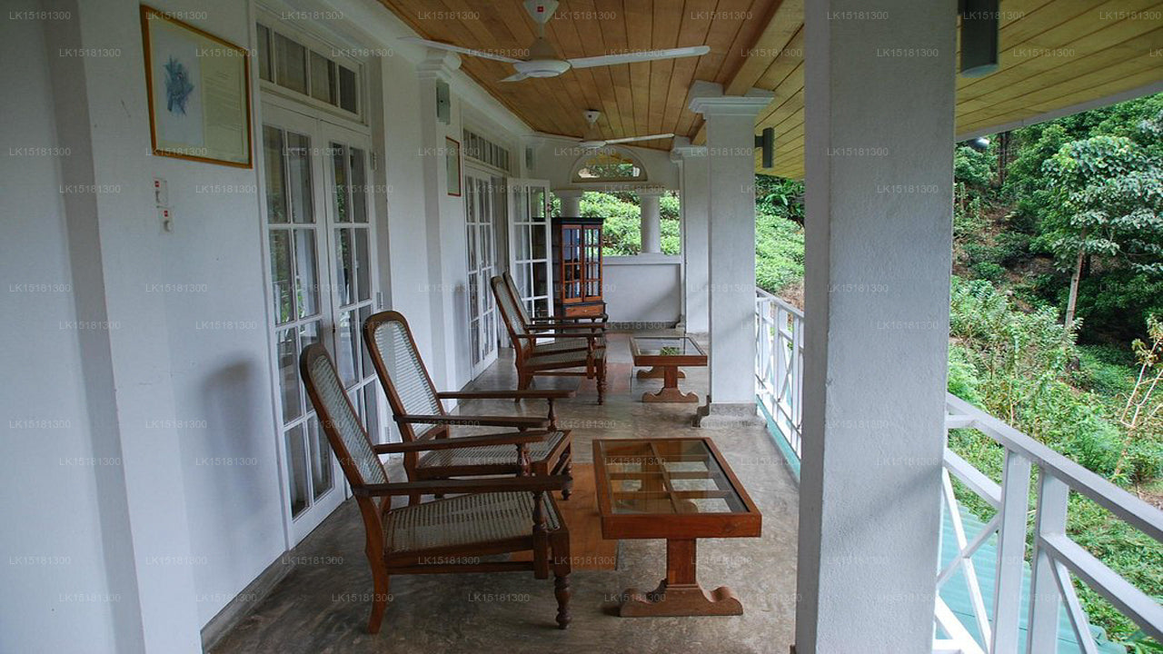 Forest Edge, Kitulgala