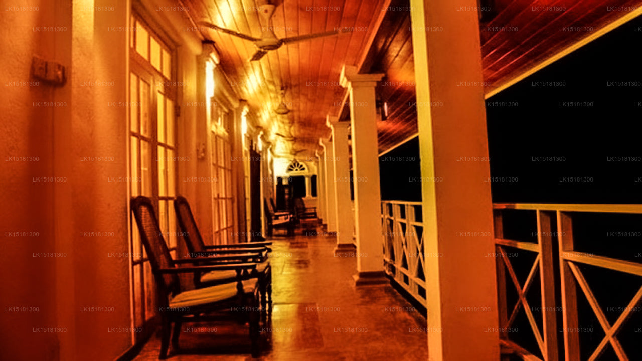 Forest Edge, Kitulgala