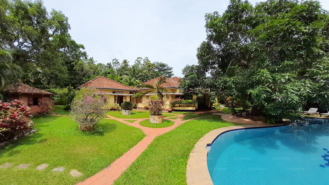 Peacock Villa Ayurveda Garden,  Dikwella