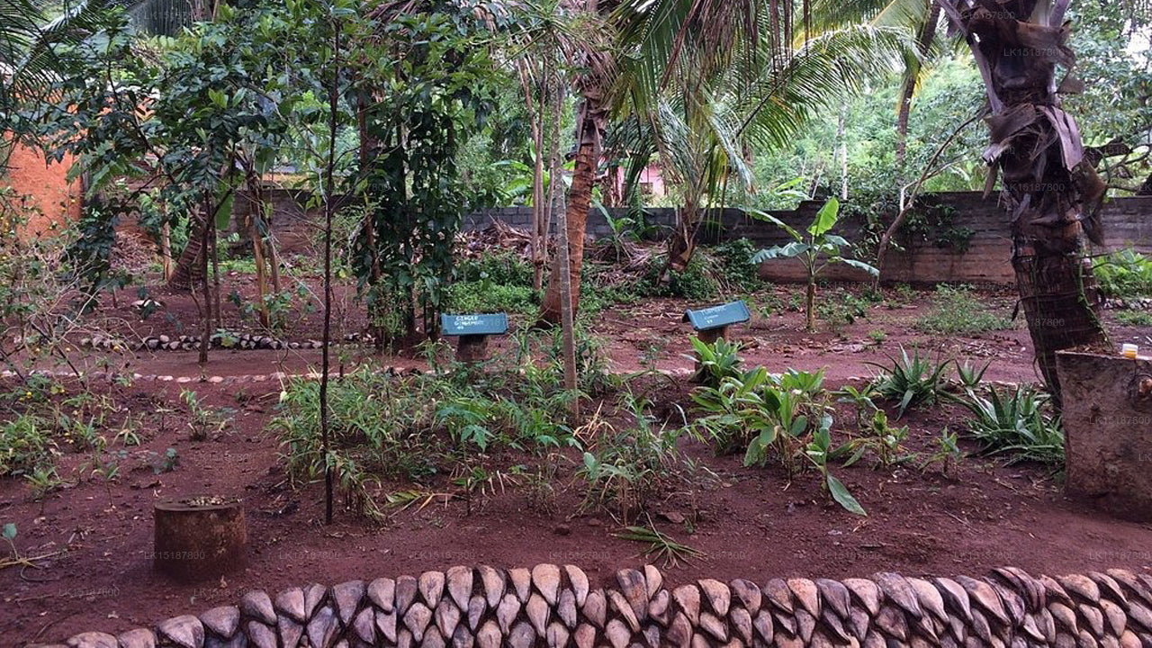 Paramount 200 Spice Garden, Matale