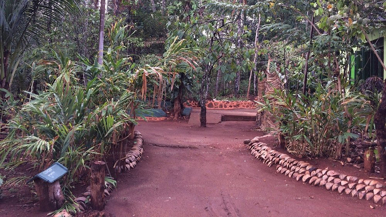 Paramount 200 Spice Garden, Matale