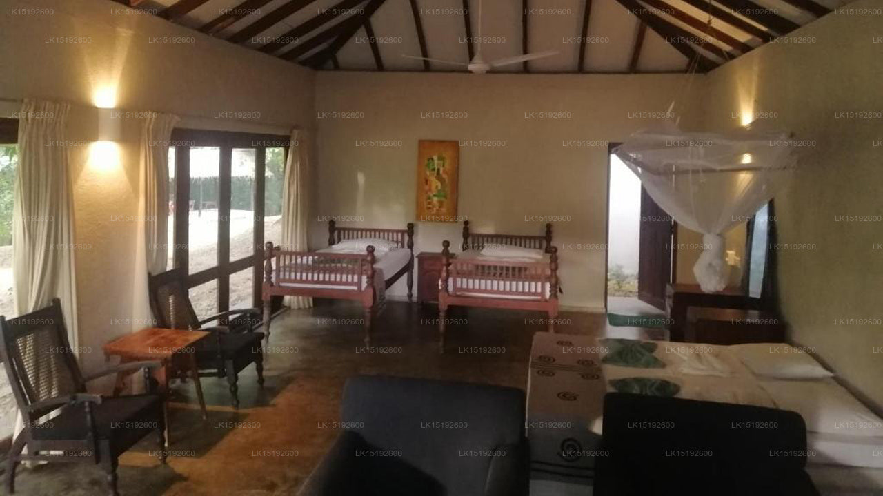 Wild Escape, Buttala