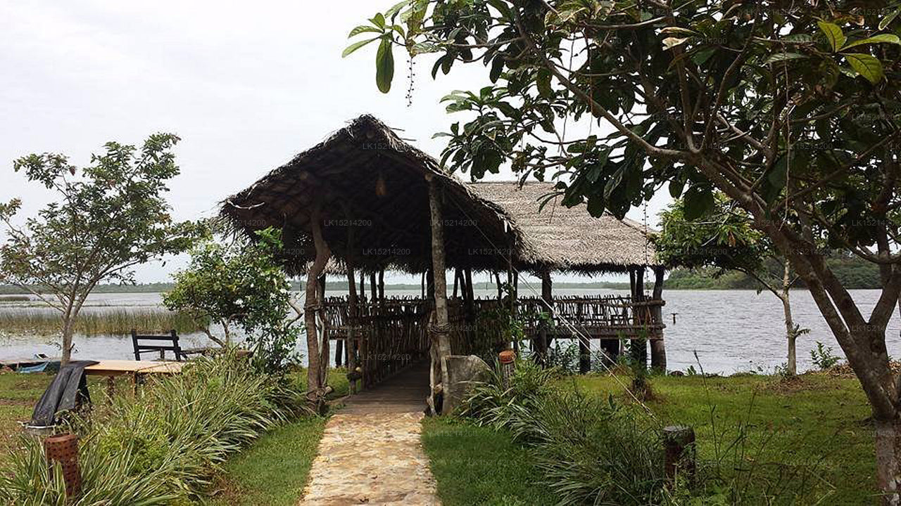 Purple Coot Ayurveda Retreat, Wadduwa