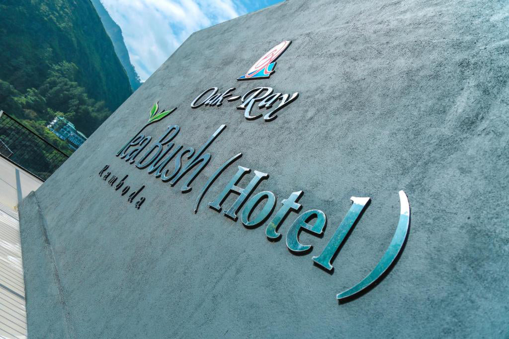 Krzew herbaciany dębowy, Ramboda