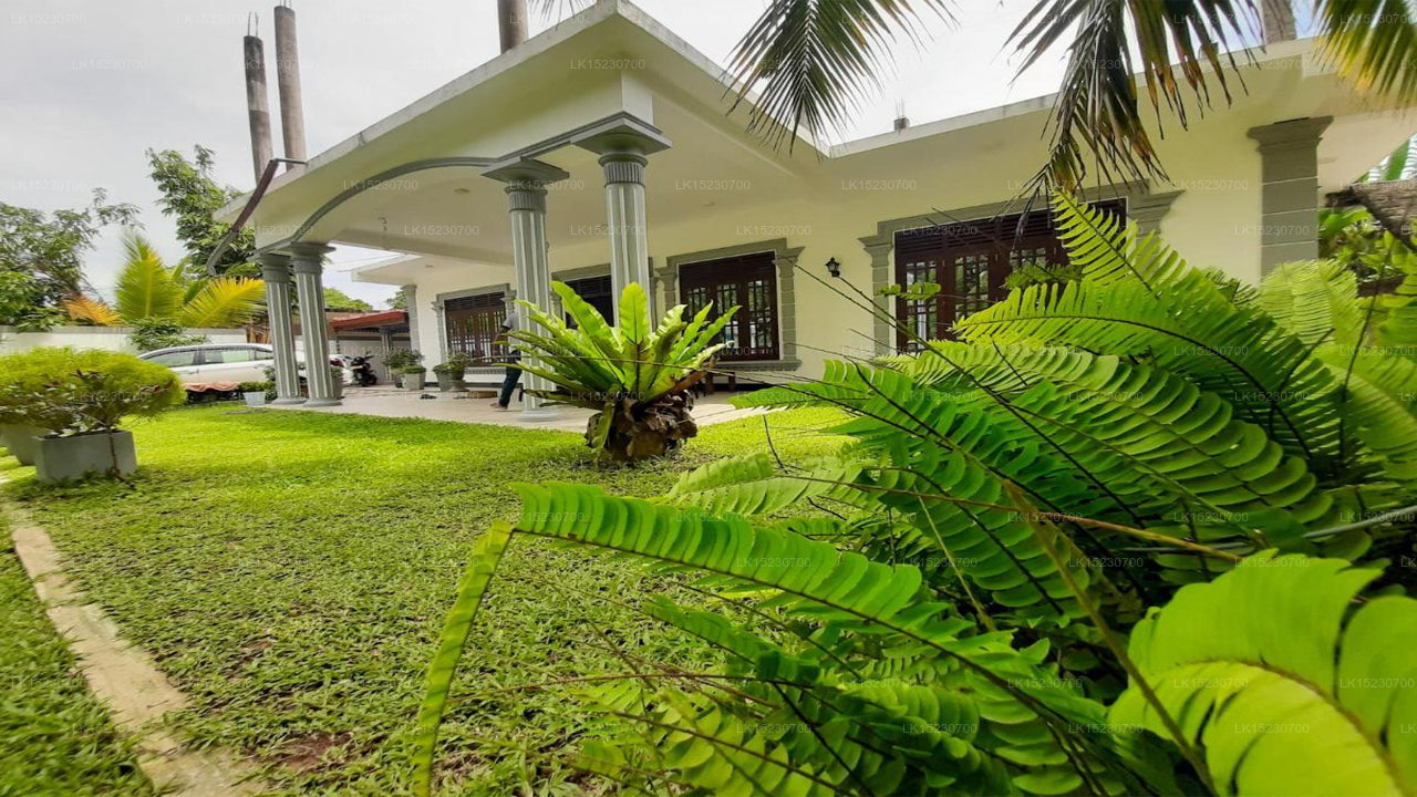 Hill House Rest, Mirissa